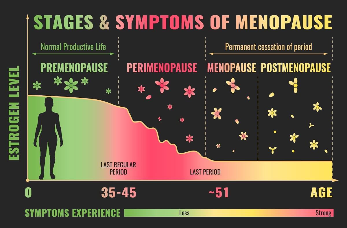 etape menopauza estrogen